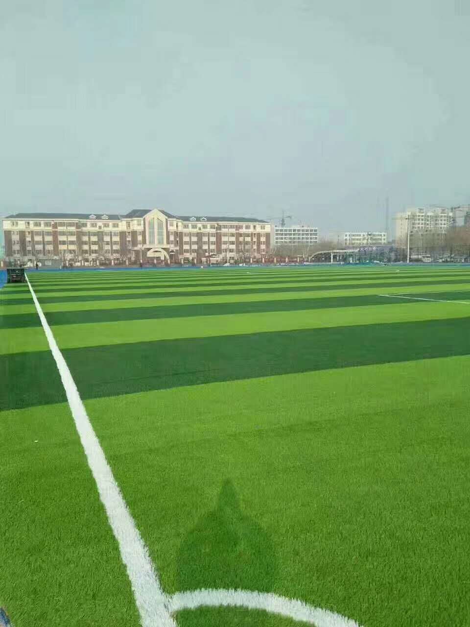 烟台市透水跑道仿真草坪 - 一站式服务